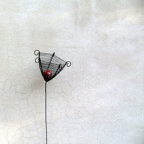 Kytka. — foto 6