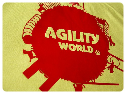 Agility S — foto 2