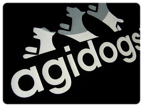 Agidogs- M — foto 2