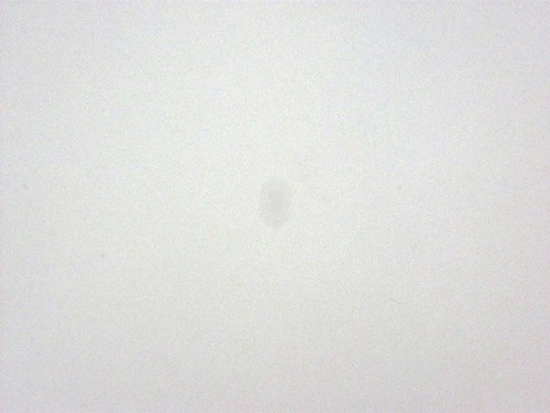Dno -28x42cm Sleva — foto 2