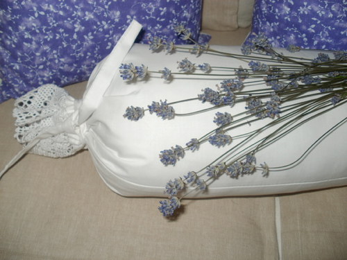 Levandulová kolekce — foto 3