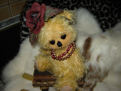 Růžička — foto 2
