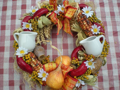 Čili chilli — foto 5