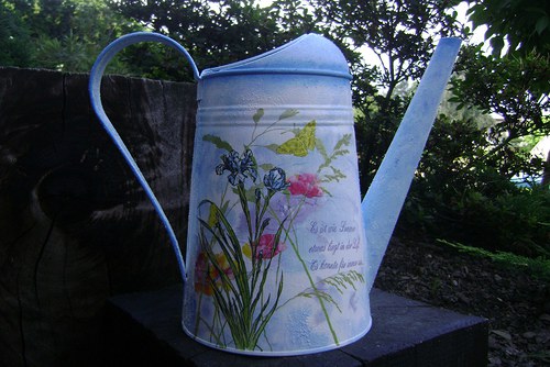 Letní — foto 2