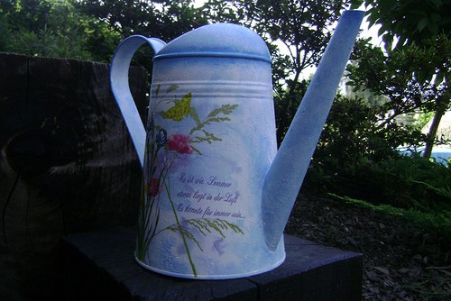 Letní — foto 3
