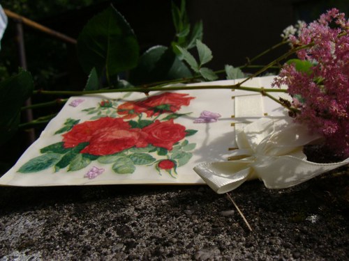 Motýlci na růži — foto 3