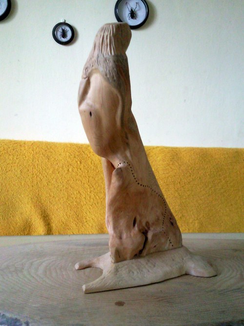 Stromo člověk — foto 2
