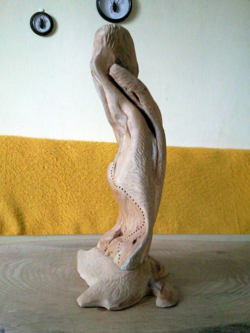 Stromo člověk — foto 3