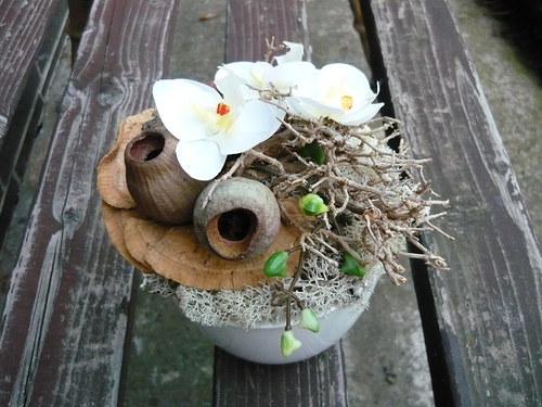 Orchidejka v přírodě — foto 3