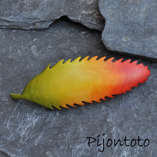 List do vlasů — foto 2
