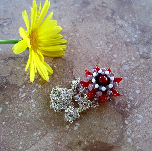 Chrysantheme Spring — foto 3