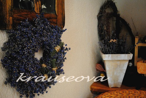 Levandulový sen — foto 4
