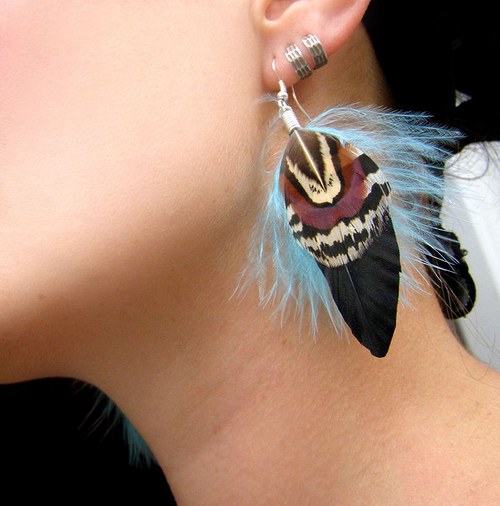 Blue Raven — foto 2