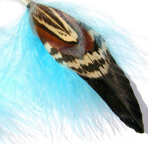 Blue Raven — foto 4