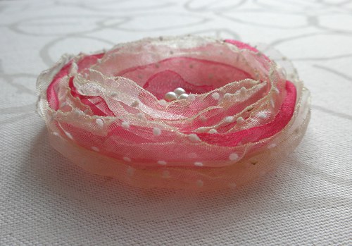 Puntíkatá malina — foto 2