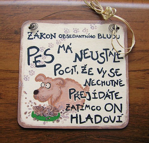 Zákon obsedantního bludu — foto 3