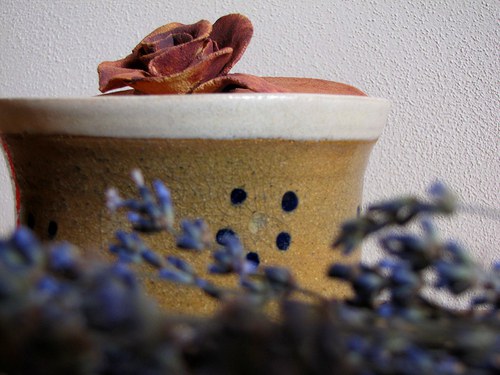 Kvítek — foto 3