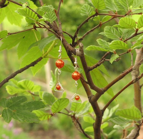 Oranžové mámení — foto 2