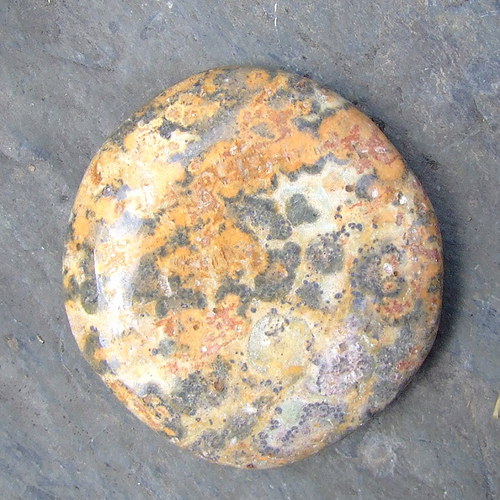 Jaspis Leopardí — foto 2