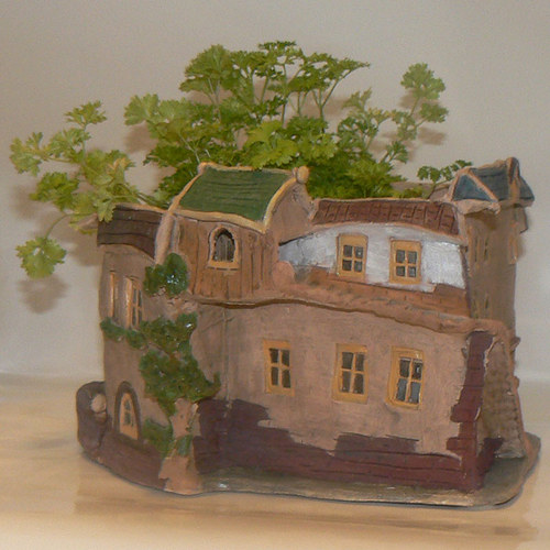 Domek smrkový — foto 3