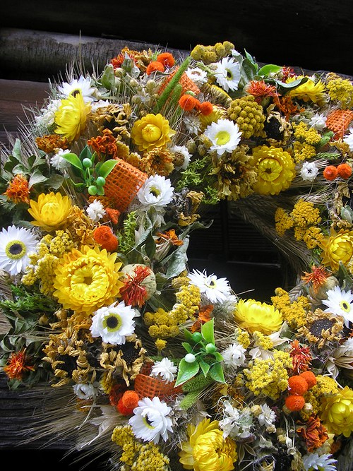 Letní vánek — foto 3