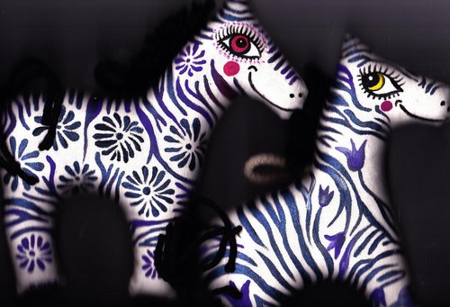 Zebra — foto 3