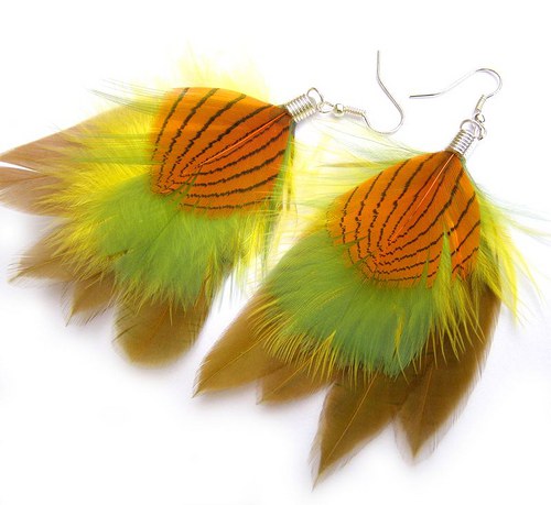 Physalis — foto 2