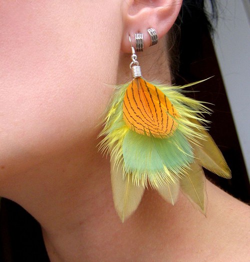 Physalis — foto 3