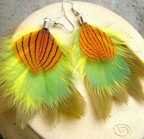 Physalis — foto 5