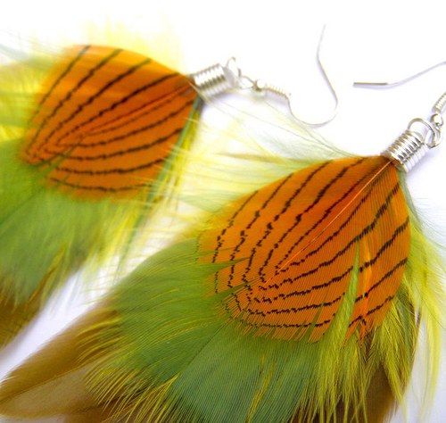 Physalis — foto 6