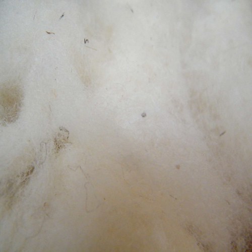 Ovčí rouno 200 g — foto 2