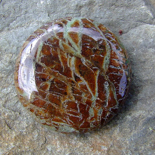 Jaspis — foto 2