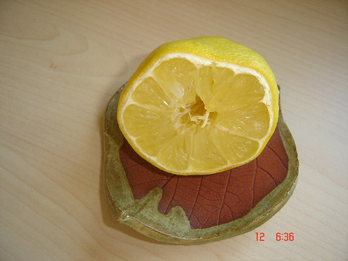 Lístečkové — foto 2