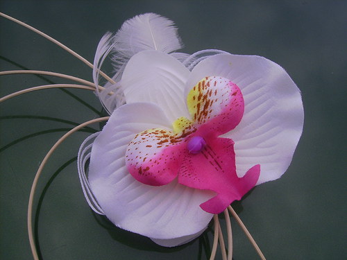 Sada na auto, orchideje - 4 kusy — foto 2