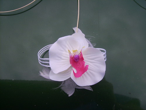 Sada na auto, orchideje - 4 kusy — foto 4