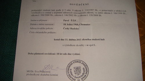 Ryzec černohlávek s beraním rohem — foto 3