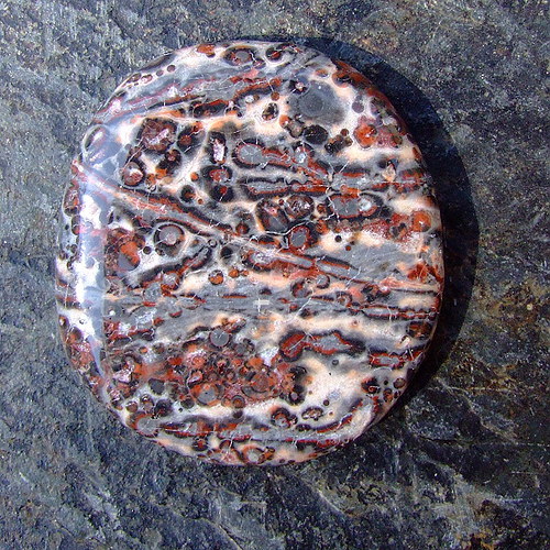 Jaspis Leopardí — foto 2