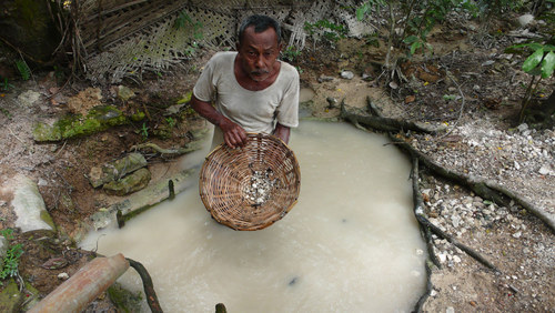 Sinharaja — foto 5