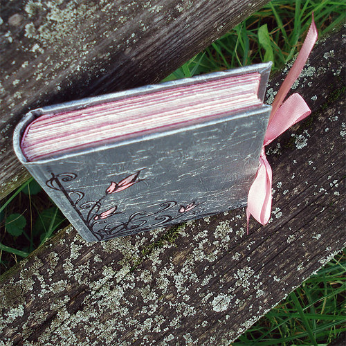 Princess Diary — foto 3