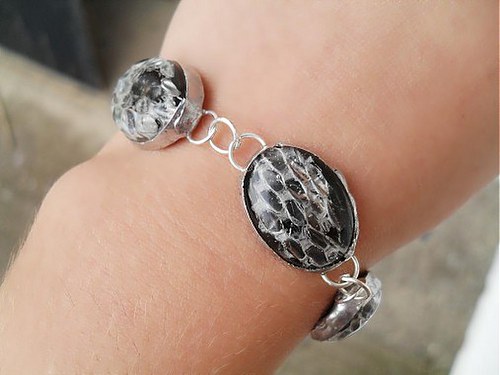Hadí — foto 2