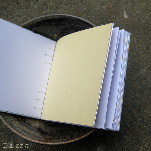 Notes V téj naší zahrádce — foto 3