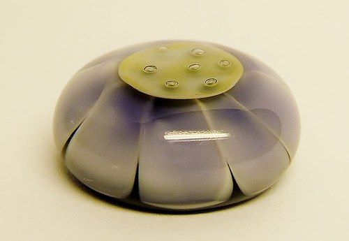 Fialové slunce — foto 2
