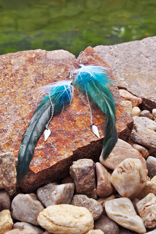 NavajoBird. — foto 2