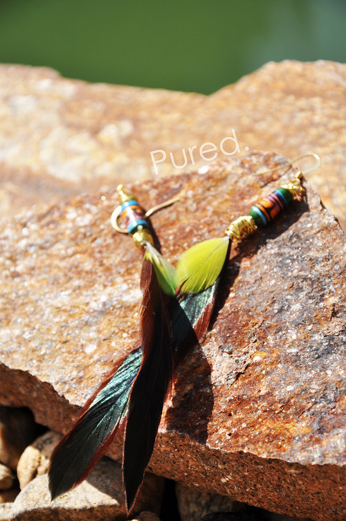 AmazonBird. — foto 2