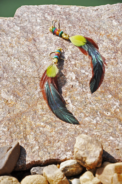 AmazonBird. — foto 4