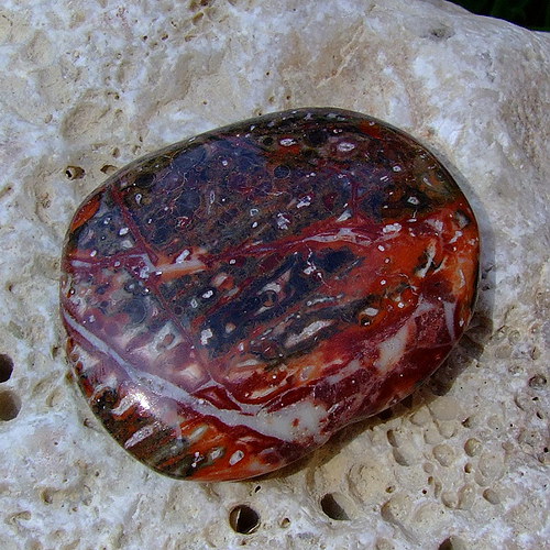 Jaspis Leopardí — foto 2