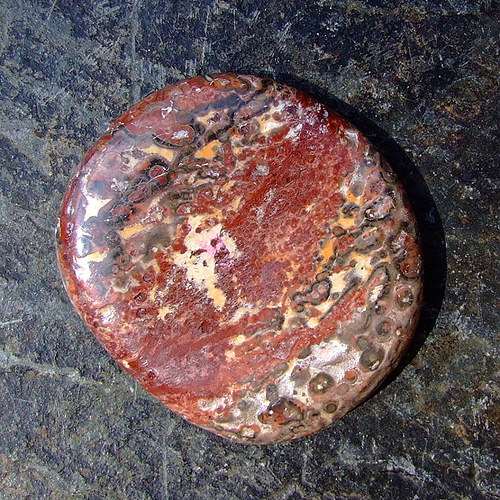 Jaspis Leopardí — foto 2
