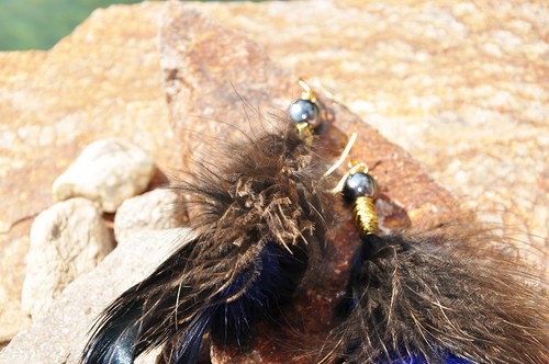 DarkBlueBird. — foto 4