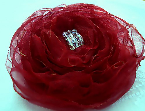 Růže v ranní rose — foto 2