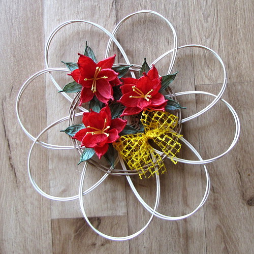 Poinsettie — foto 2